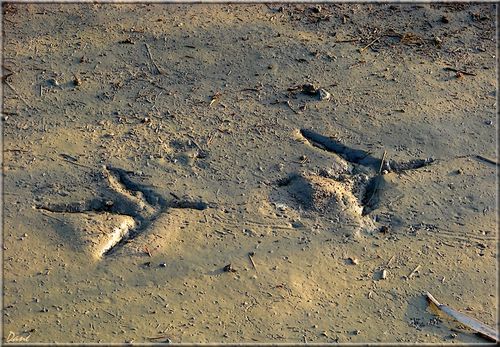 La semaine de l'Odyssée de l'Espace Naturel Sensible