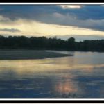 Exposition Loire, Faune et Flore