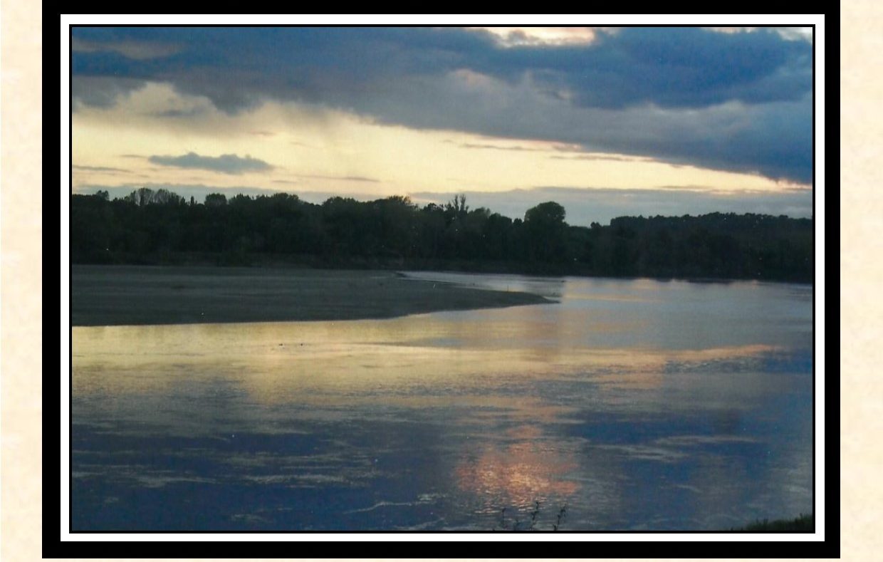 Exposition Loire, Faune et Flore