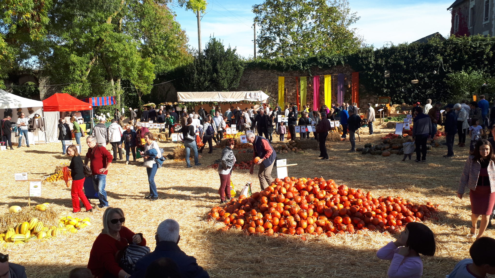 Les Automnales 2022 St Remy La Varenne