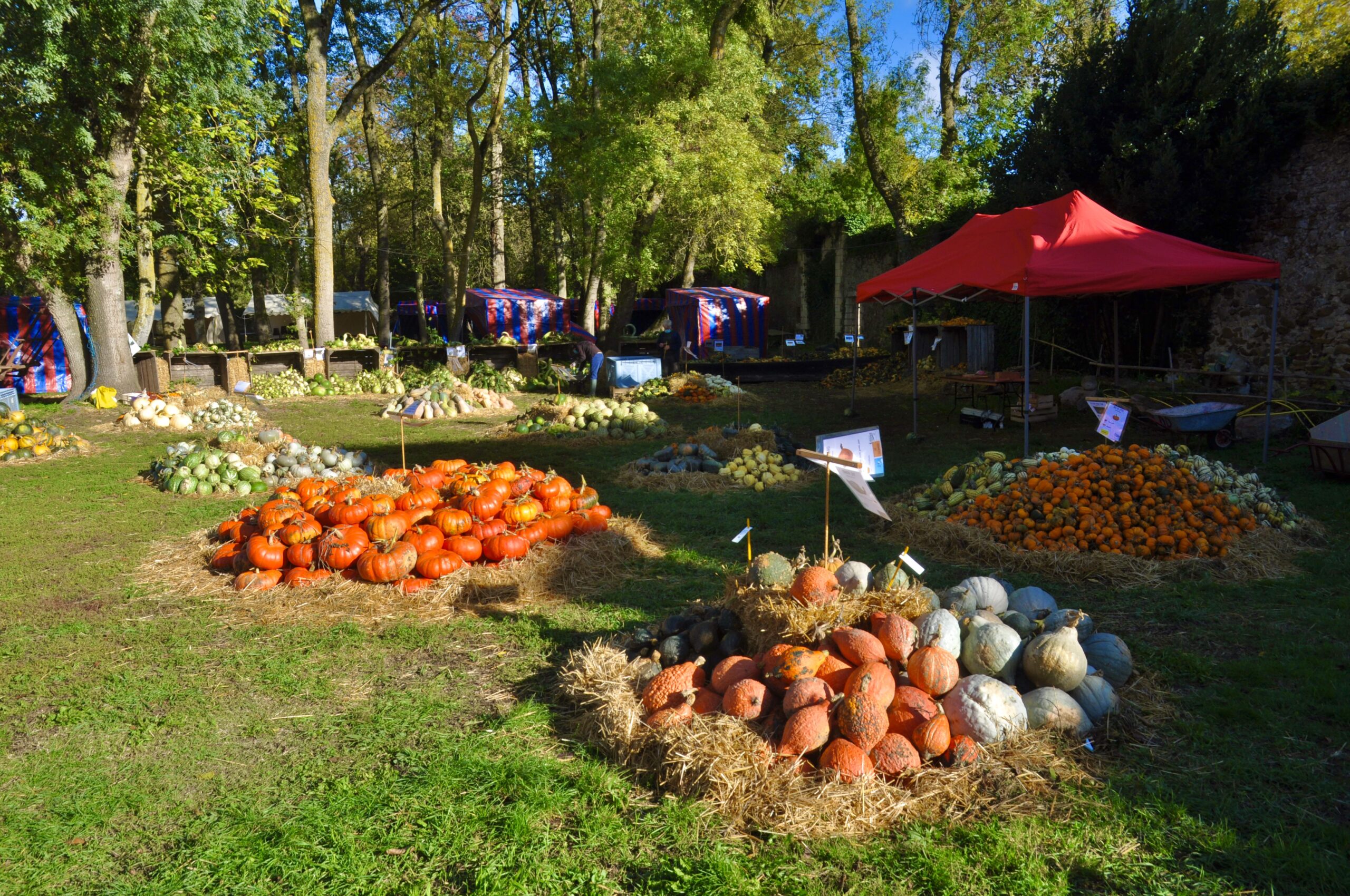 Les Automnales 2022 St Remy La Varenne