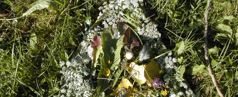 Land'art au Prieuré