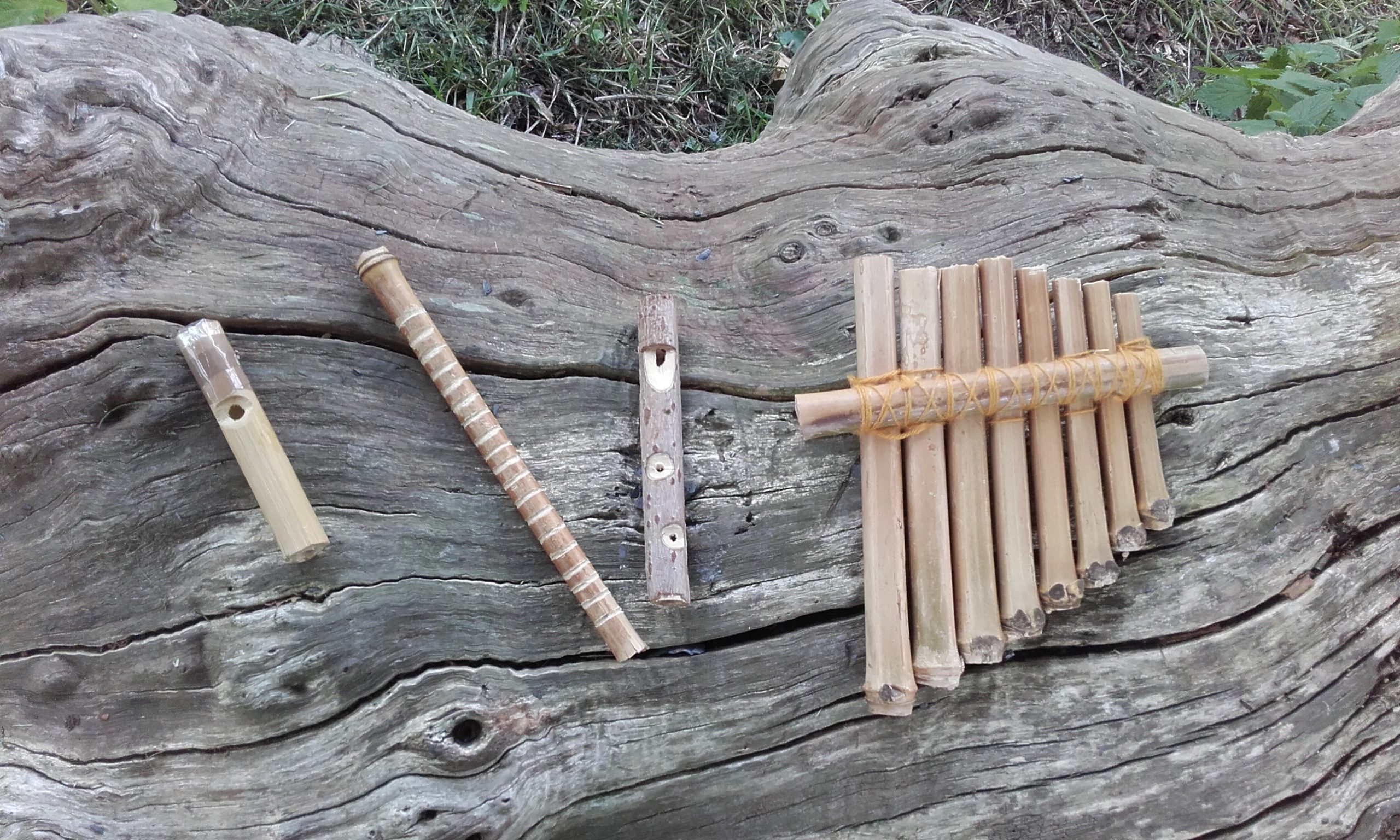 Atelier créatif : musique verte et instruments de la nature