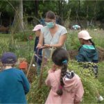 Stage "Nature et Jardin"