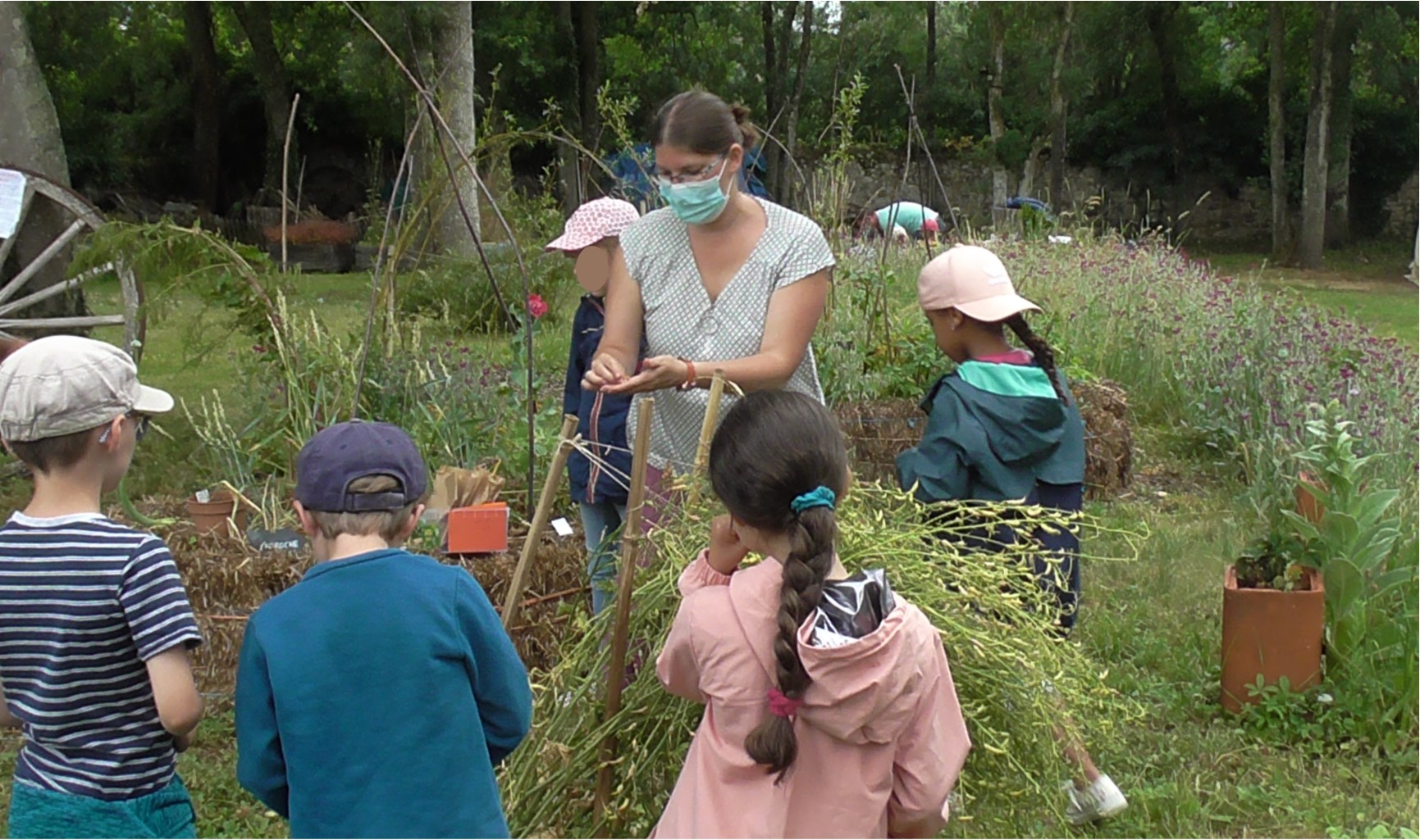 Stage "Nature et Jardin"