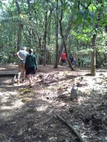 Semaine de l'Odyssée de l'Espace Naturel Sensible : Balade sensorielle au coeur de la forêt