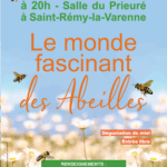 Le monde merveilleux des abeilles