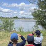 Détectives de la Grande Ile