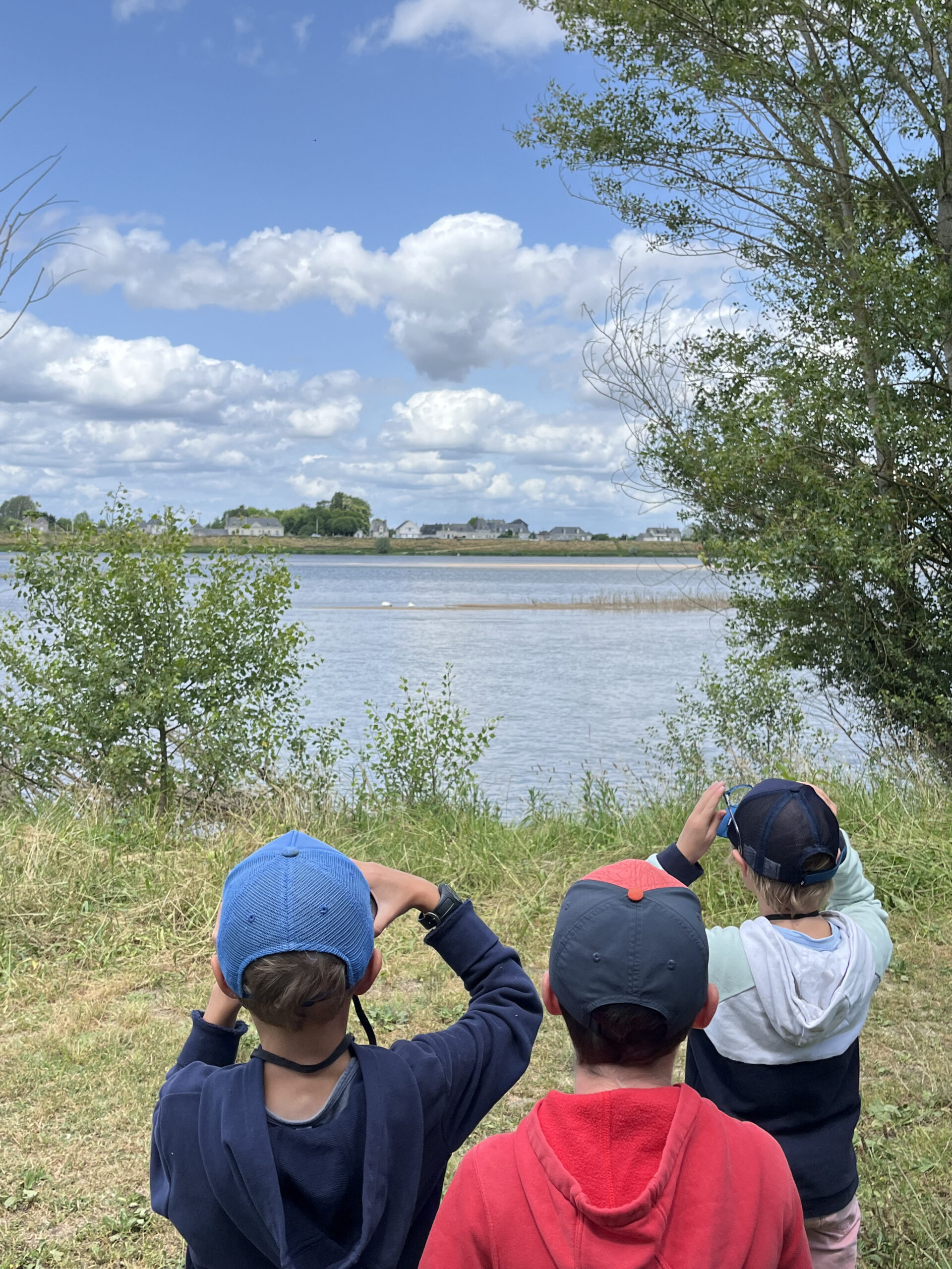 Détectives de la Grande Ile